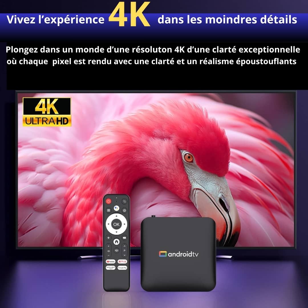 Box Android TV 4K – Transformez votre télé en Smart TV illimitée (YouTube, Netflix, IPTV)